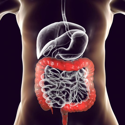 Gut Health – Still a Big Deal (But Don’t Believe the Hype Just Yet)