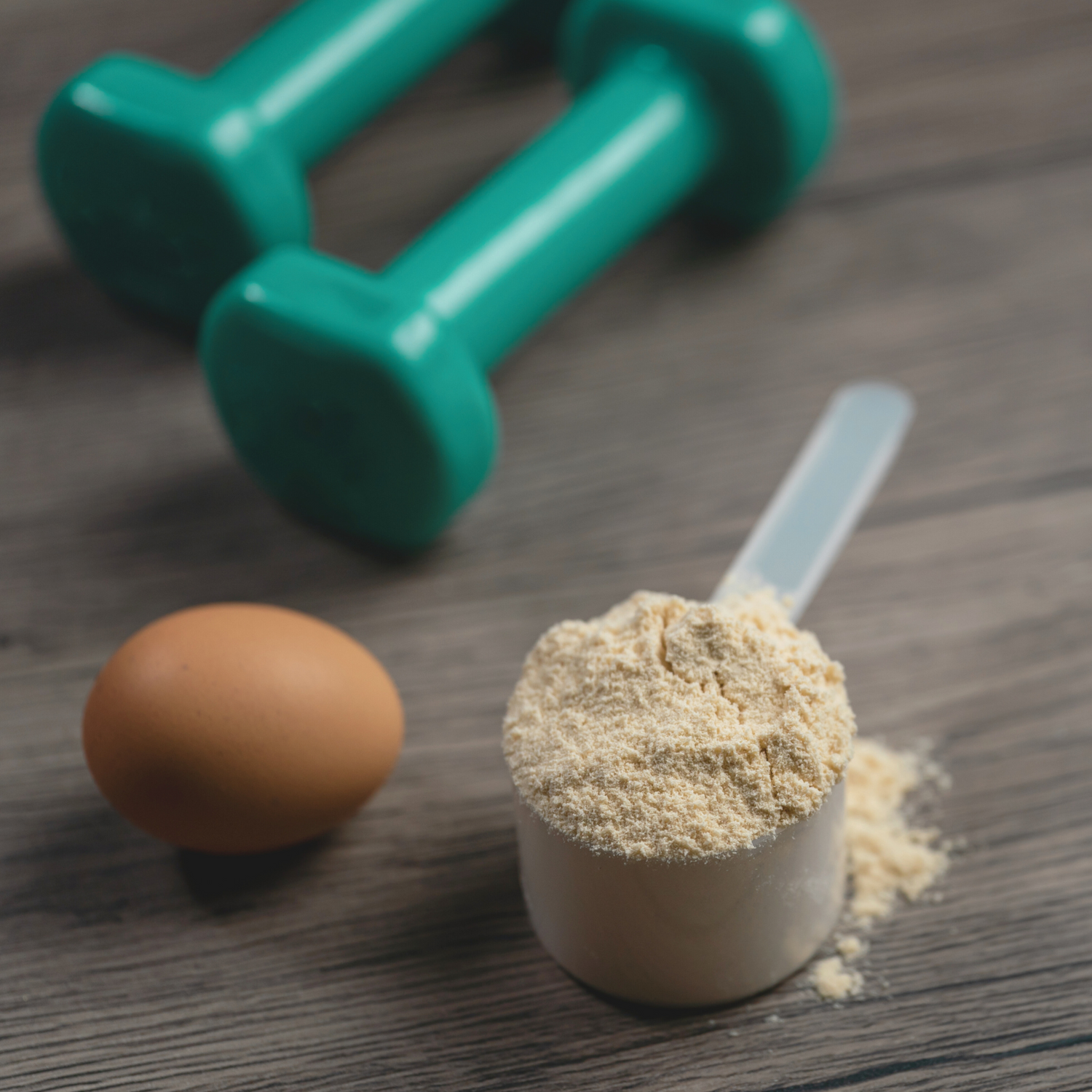 Proteins & Blends
