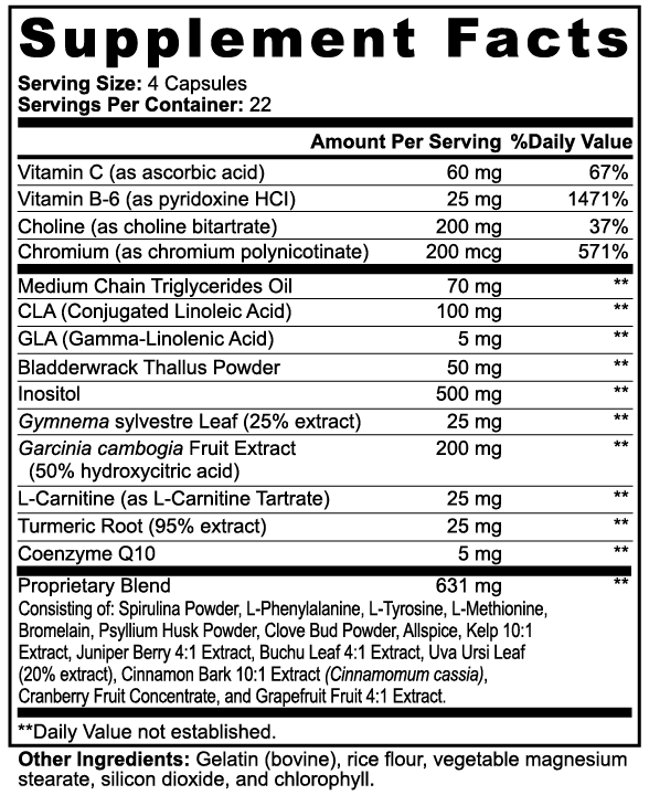 Fat Burner Capsules with MCT Metabolism & Weight Loss Support – With L-Carnitine, Choline, Chromium, Vitamins C & B6 – Energy & Fat Metabolism Booster for Men & Women