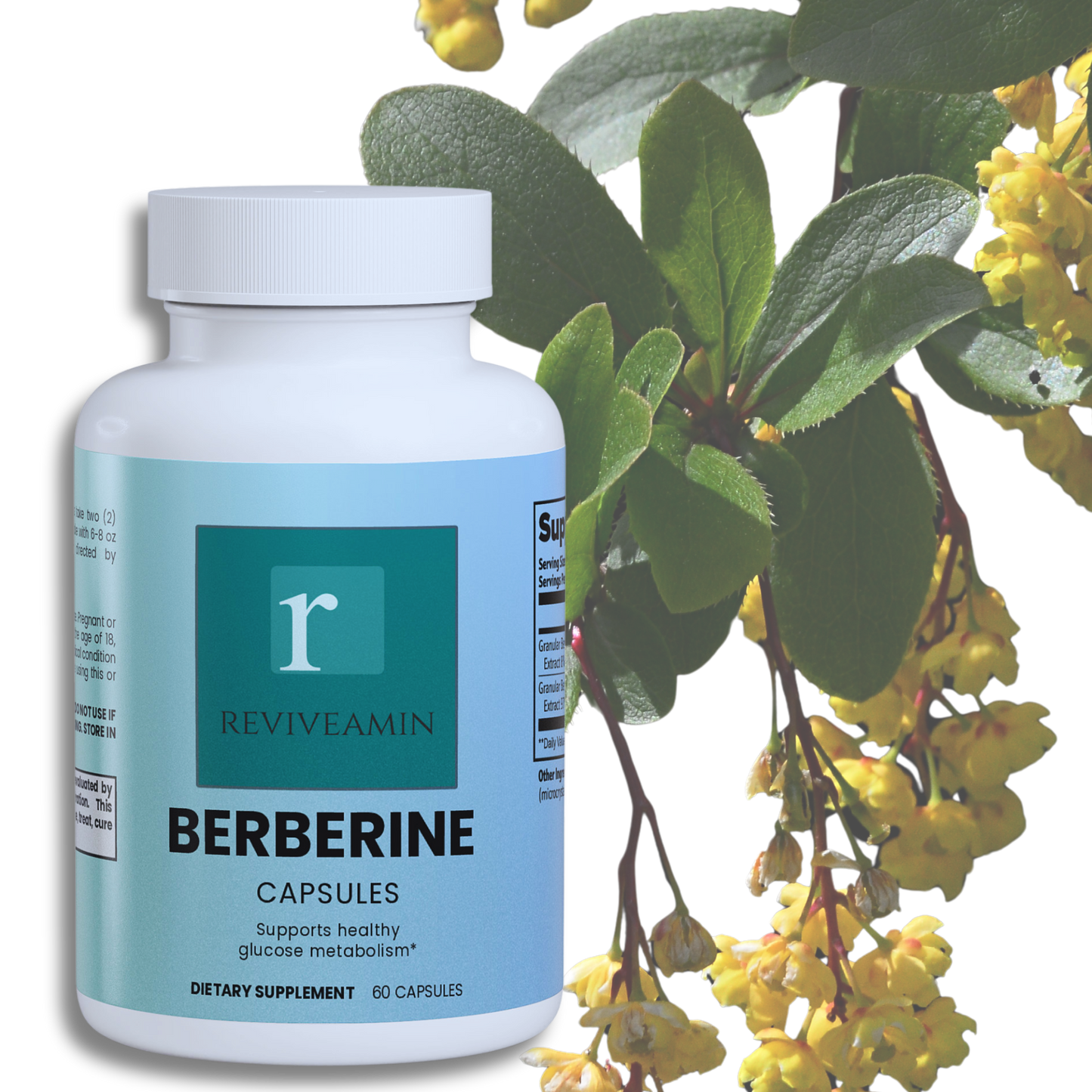 Berberine Capsules – Blood Sugar Support, Heart Health & Metabolism Boost