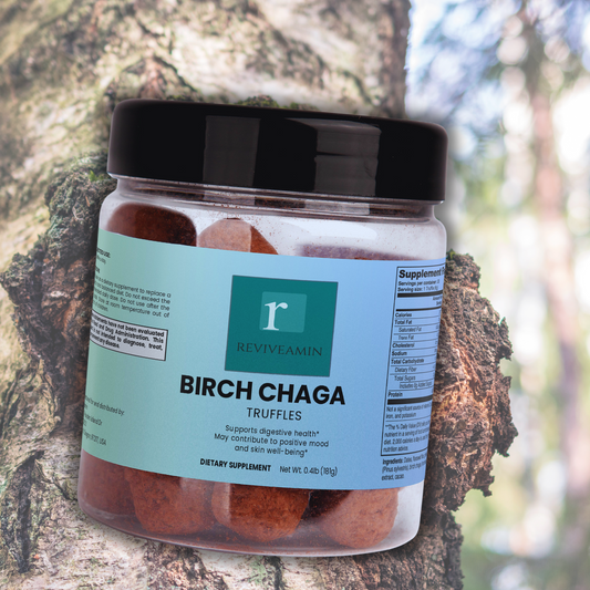Birch Chaga Truffles – Functional Superfood for Gut Health, Immunity & Antioxidant Support