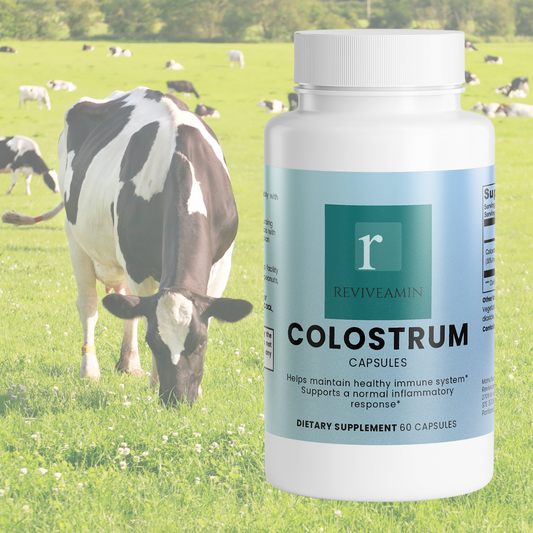 Colostrum Capsules 500mg (30% IgG) – Immune Support, Gut Health & Recovery Supplement for Adults