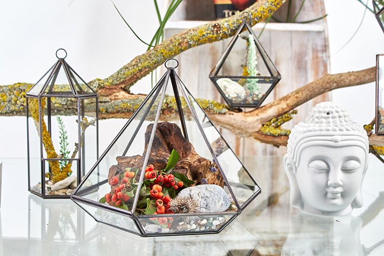 Glass Terrarium – Lantern Shape | Geometric Plant Display | Modern Glass & Iron Indoor Planter | Home Décor