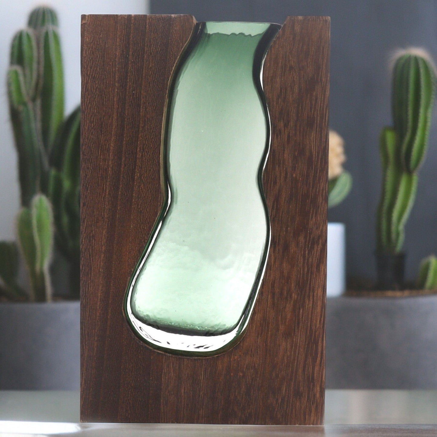 Large Glass Vase Terrarium with Dark Tung Wood Base | Elegant Modern Home Décor