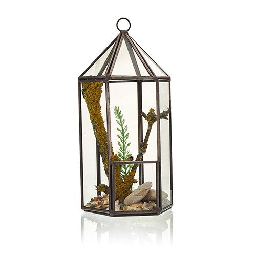 Glass Terrarium – Lantern Shape | Geometric Plant Display | Modern Glass & Iron Indoor Planter | Home Décor