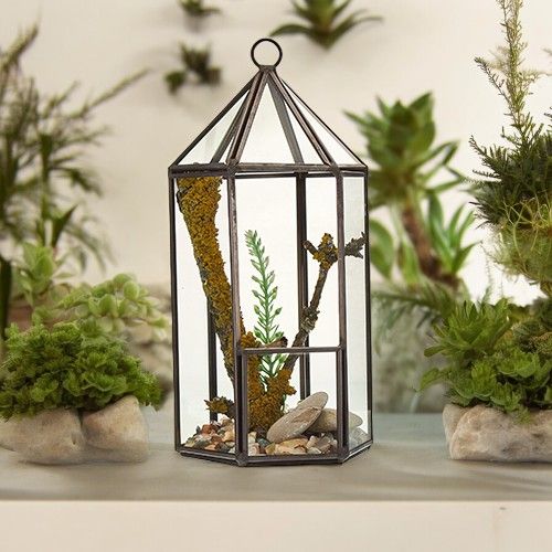 Glass Terrarium – Lantern Shape | Geometric Plant Display | Modern Glass & Iron Indoor Planter | Home Décor